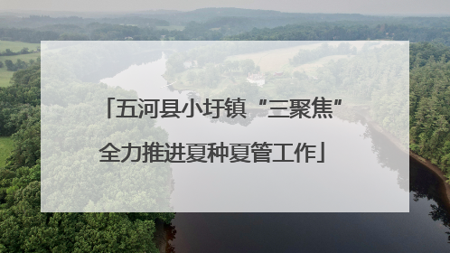 五河县小圩镇“三聚焦”全力推进夏种夏管工作